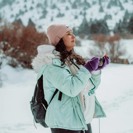 Kashmir Honeymoon Package